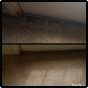 Photo of Terryclean Carpet & Upholstery Care