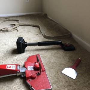 Photo of Terryclean Carpet & Upholstery Care