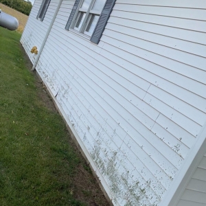 Photo of Ty's Hydro Pressure Washing