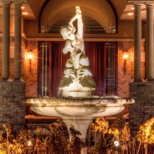 Photo of Landscape Lighting Specialist