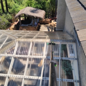 Photo of Citywide Window Cleaning