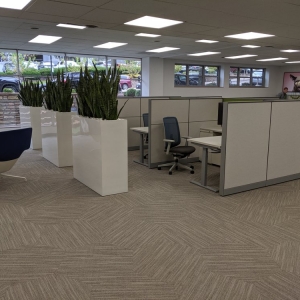 Photo of New Paradigm Interiors