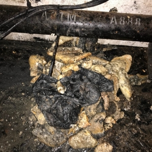 Photo of Petri Plumbing & Heating