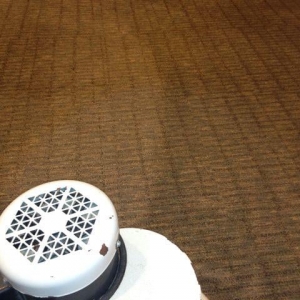 Photo of Tri-County Carpet Cleaning