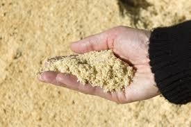 Photo of Earth Day Materials