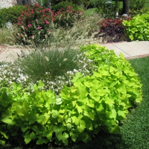 Photo of Dallas Curb Appeal Inc.