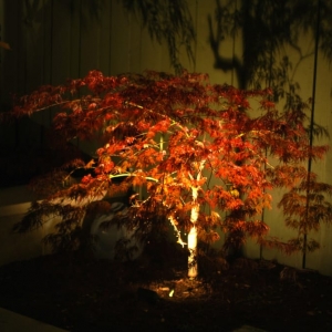 Photo of Dallas Curb Appeal Inc.