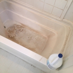 Photo of Reign Cleaning Service
