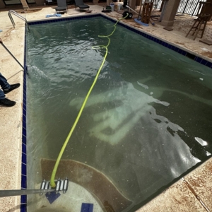 Photo of Sunny Palm Pool Service