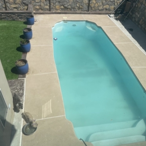 Photo of Sunny Palm Pool Service