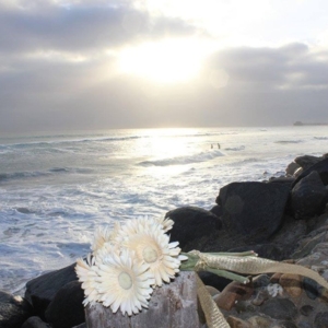Photo of BeachFront Weddings