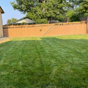 Photo of All Pro Landscaping & Design