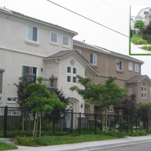 Photo of Lopez Landscape Contractor
