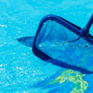 Photo of M&M Pools