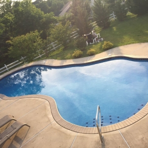 Photo of Dog Days of Summer Pool Service