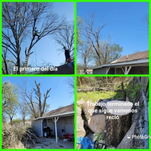 Photo of Mora's Lawncare & Landscaping Company