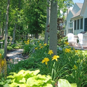 Photo of Buck And Sons Landscape