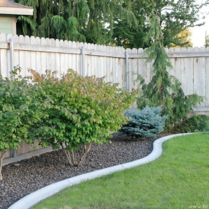 Fort Worth True Earth Solutions