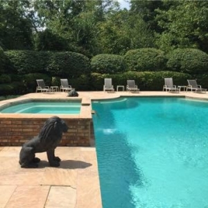 Photo of Dive In Pool Service
