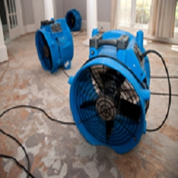 Photo of Water Damage Culver City