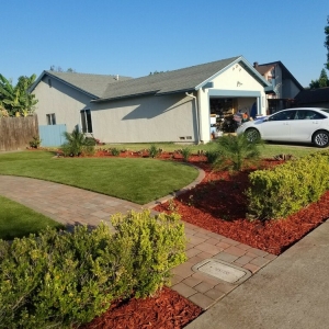 Photo of Rangel & Associates Landscaping