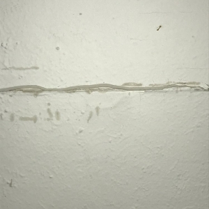 Photo of Mercury Property Management
