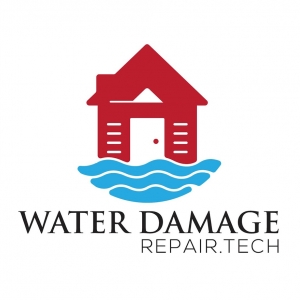 Photo of Water Damage Repair Tech