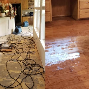 Photo of Water Damage Repair Tech