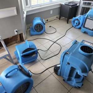 Photo of Water Damage Repair Tech