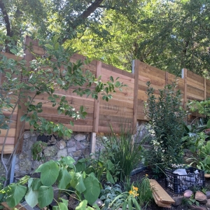 Photo of Absolute Fence & Gate