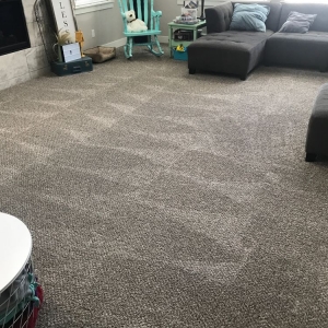 Photo of Maid Serv House & Office Cleaning
