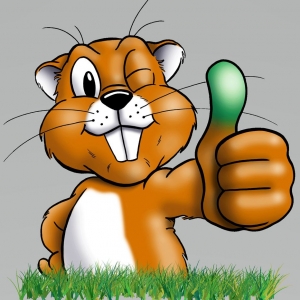 Virginia Beach Second Nature Landscaping & Guaranteed Greener Grass