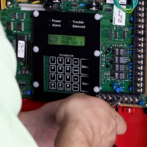 Photo of Signal Services
