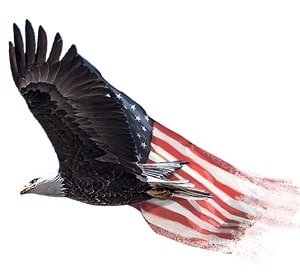 Photo of Allegiance Capital Group