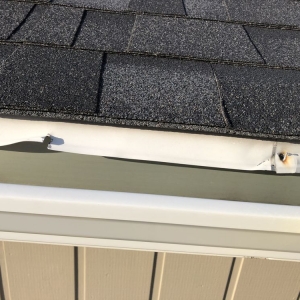 Photo of Vertex Restoration