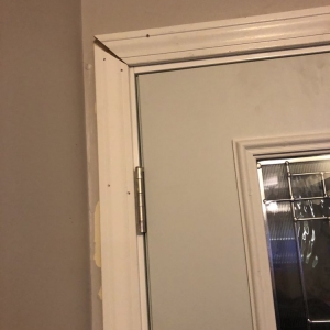 Photo of Vertex Restoration