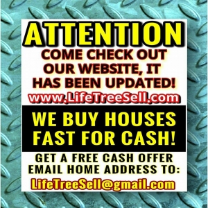 Photo of LifeTree Property Solutions