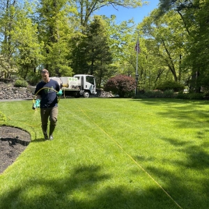 Photo of GreenStripe