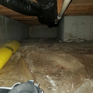Columbia Midwest Carpet & Duct Cleaning/Midwest Restoration