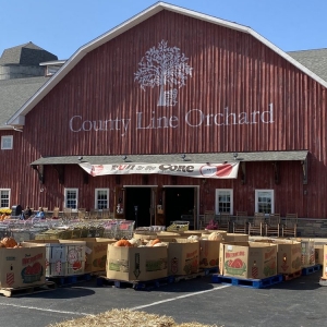Hobart County Line Orchard