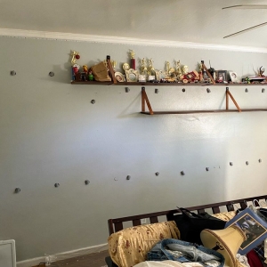 San Jose Greenshield Insulation