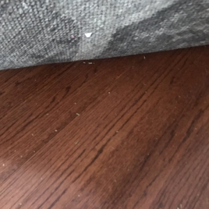 Photo of Best Friends Cleaning