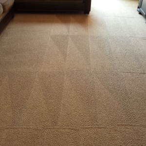 Photo of Hot Style Carpet Cleaning