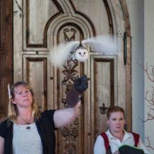 Photo of Kat Creech Events