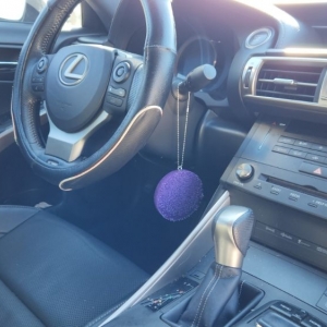 Photo of Pride Auto Detailing