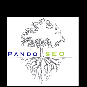 Seattle Pando SEO