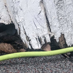 Photo of Premier Professional Inspections