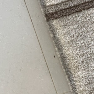 Photo of Unique Carpet Cleaning
