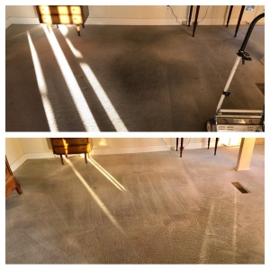 Photo of LA Floor Cleaning