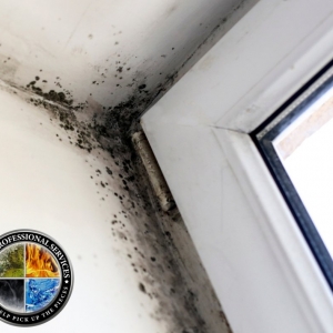 Photo of Emergency Restoration Construction & Professional Services